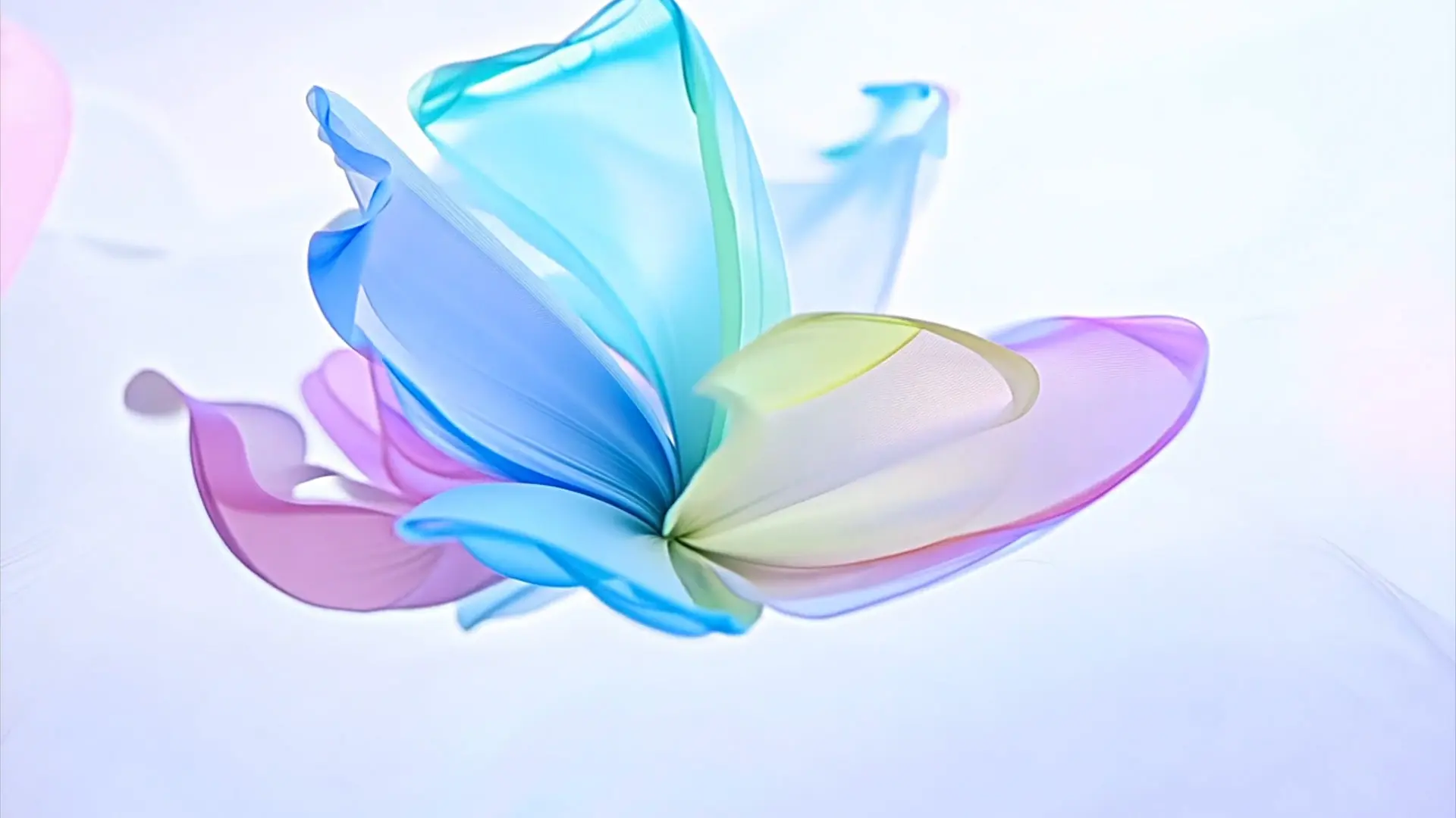 Pastel Petal Whirl Elegant Background for Wedding Videos